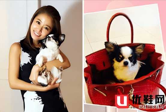 女明星潜规林心如_林心如还珠格格为什么被抵制_林心如两面三刀事件