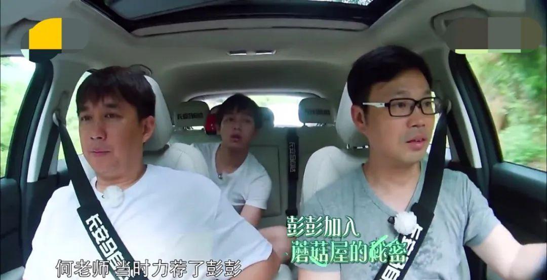 娱乐圈没人怕的明星_多年如一日几乎没有黑粉的明星_演技几乎没有黑粉的明星